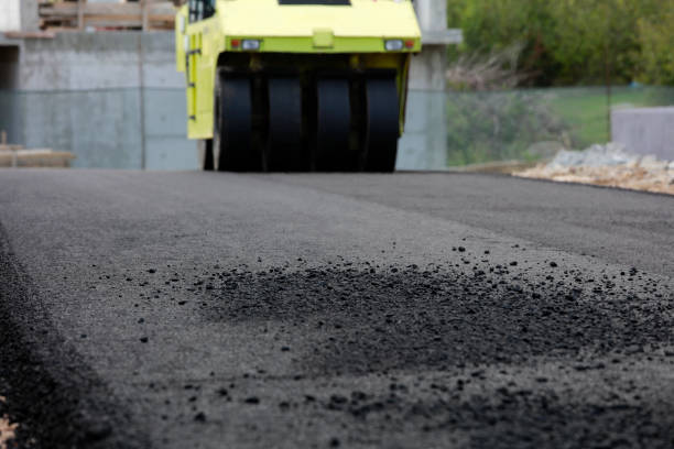 Best Driveway Pavers Near Me  in Faribault, MN