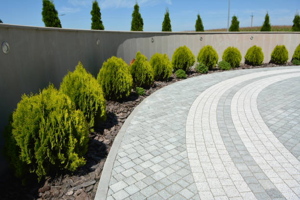 Best Concrete Paver Driveway  in Faribault, MN